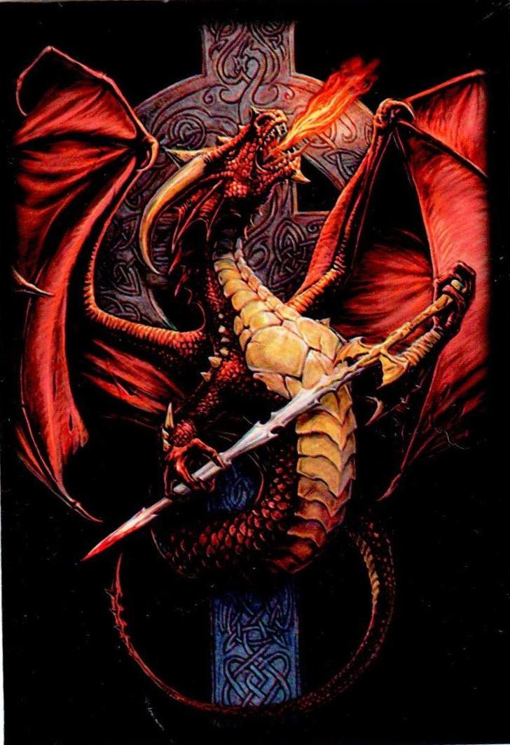 Deck Protector Yugioh Size Image Sleeves - Celtic Dragon